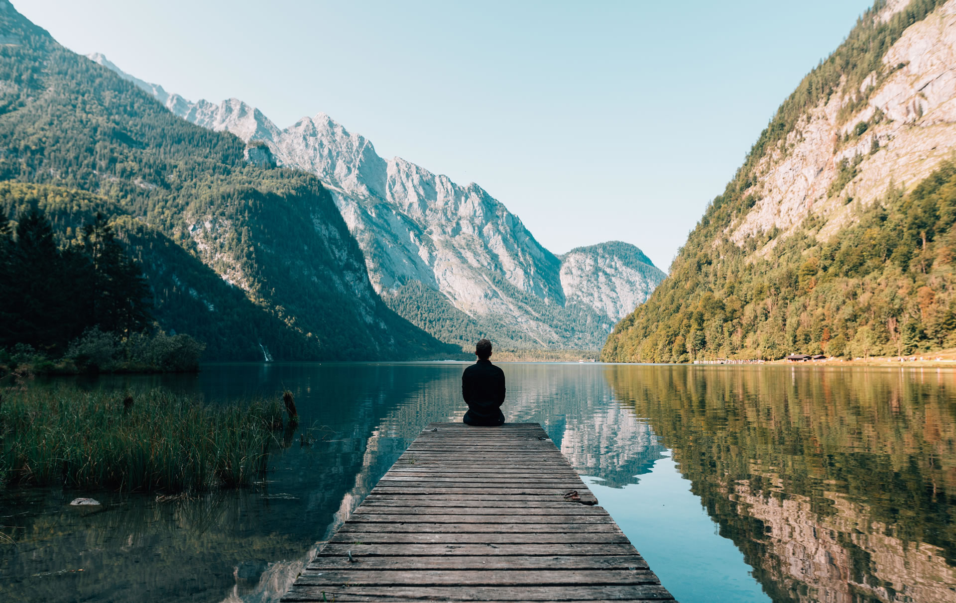Intentional Minds Therapy 